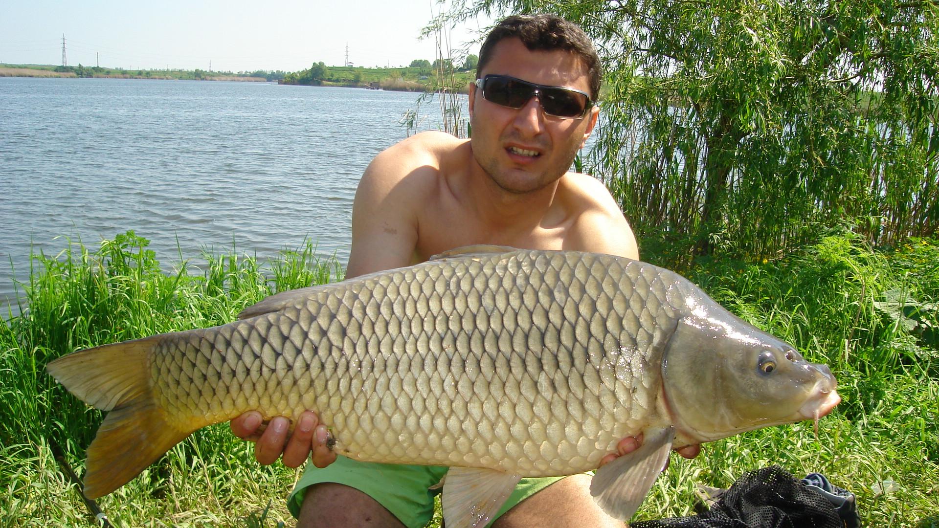 Diverse - dsc03315.JPG